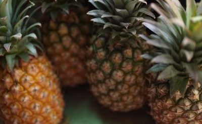 Close-up view of multiple pineapples with varying ripeness stages