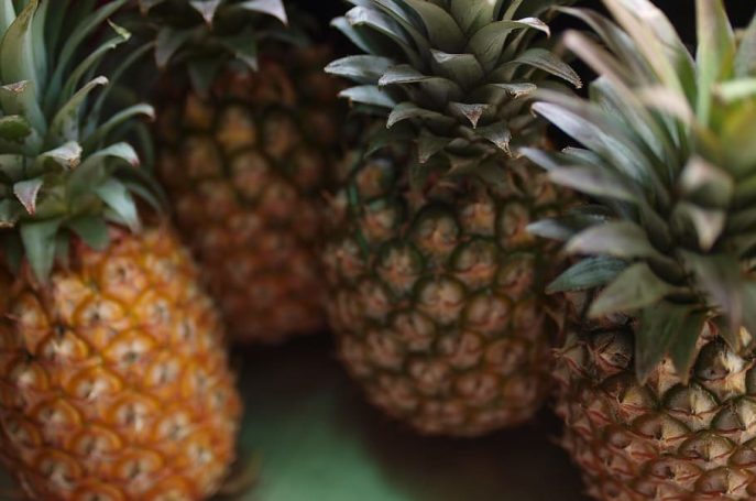 Close-up view of multiple pineapples with varying ripeness stages